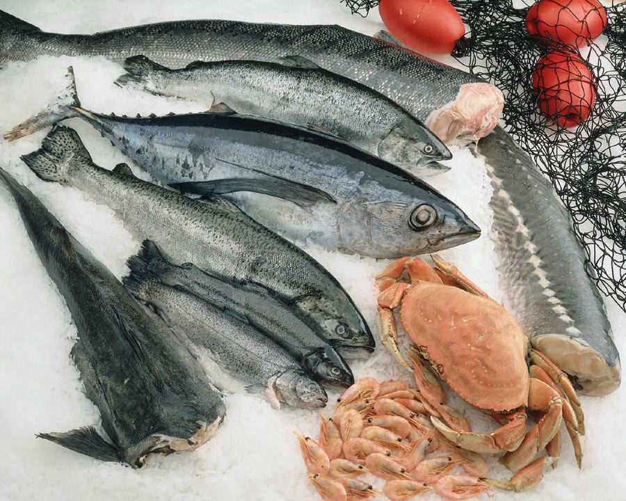 poisson santé omega-3 micropolluants