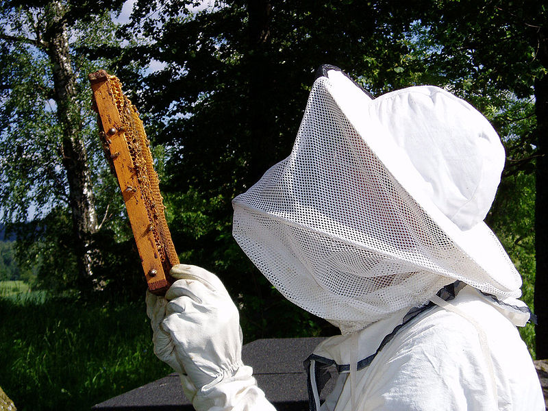 unaf apiculture