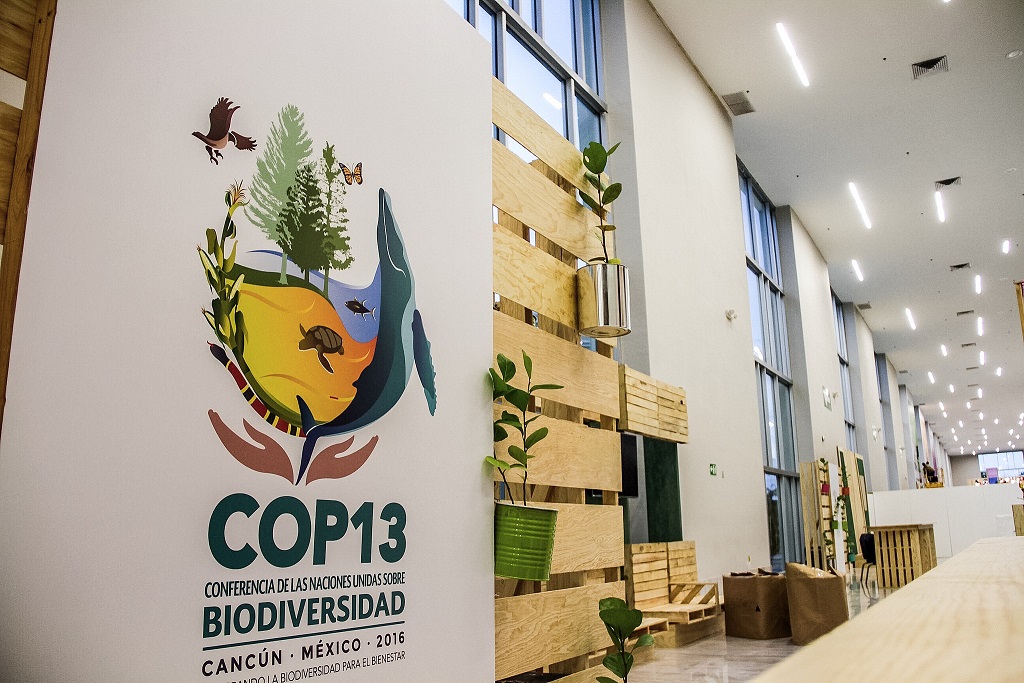 COP13 biodiversité Cancún