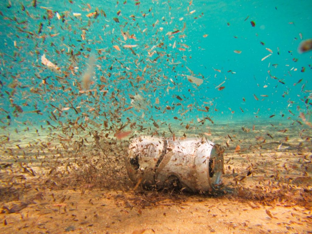 microplastique accumulation courants marins