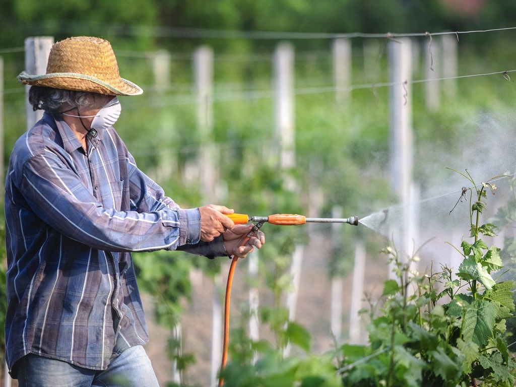 Lien entre pesticides et leucémie prouvé