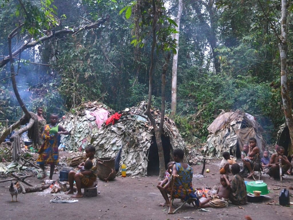 village pygmée forêt afrique