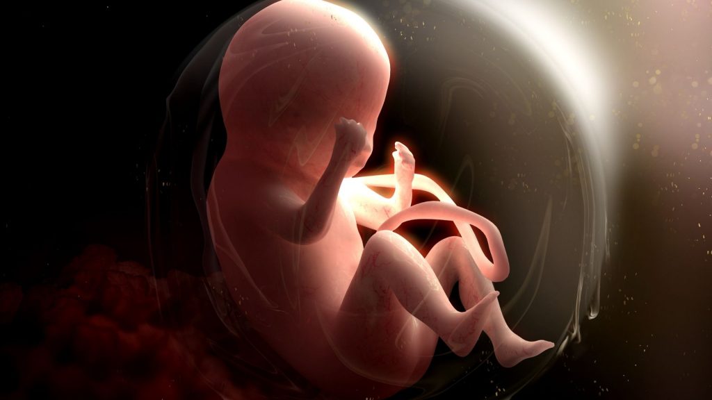 L'enfant à naître est exposé à la pollution des perturbateurs endocriniens dès la grossesse