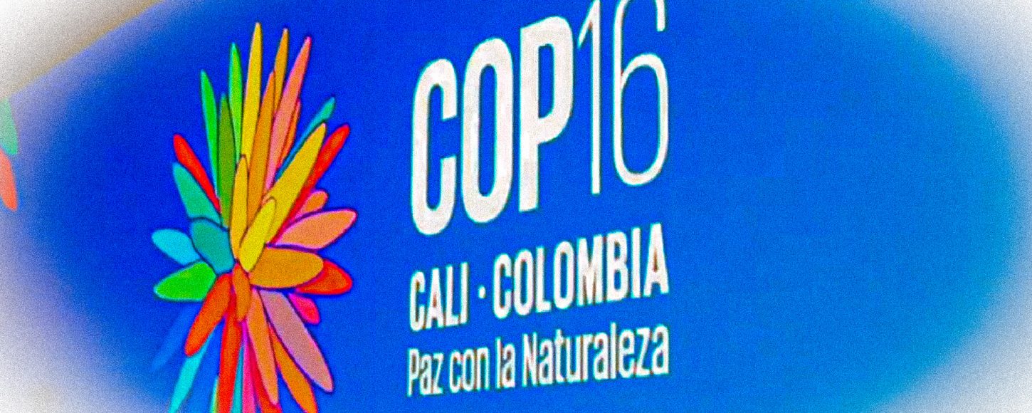 COP16 biodiversité