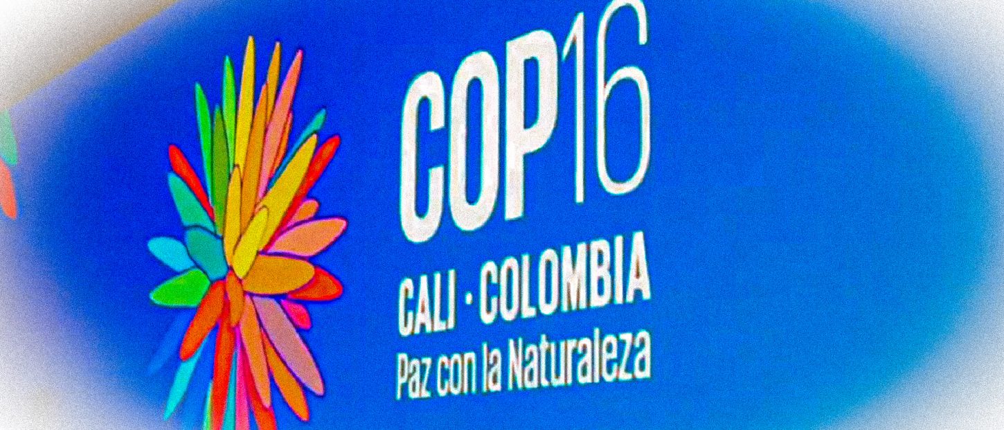 COP16 biodiversité