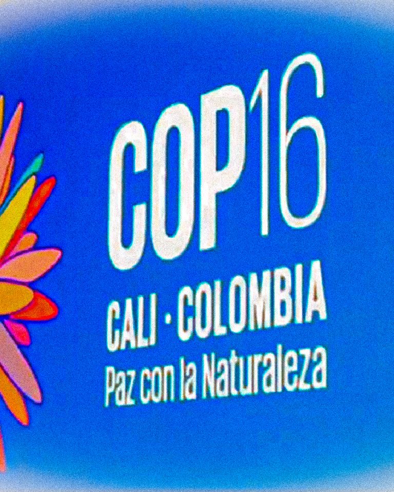 COP16 biodiversité