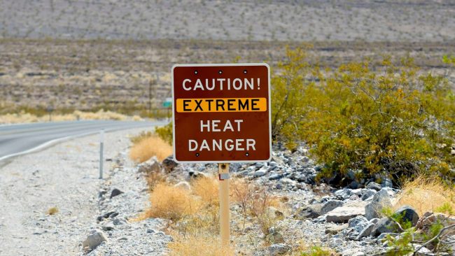 Chaleur extrême morts changement climatique dans un désert