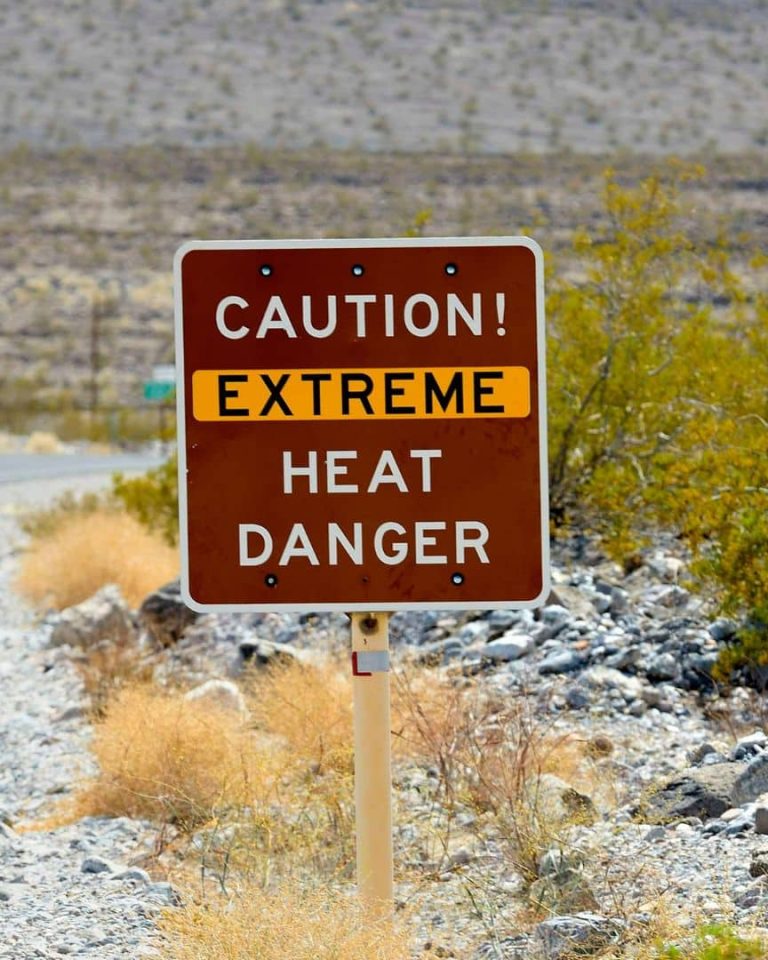 Chaleur extrême morts changement climatique dans un désert