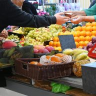 Marché et sécurité sociale de l'alimentation