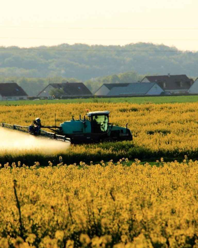 L'association Terres de lien accuse le gouvernement de s'approprier la notion paysanne de souveraineté alimentaire pour justifier une agriculture tournée vers l'exportation.