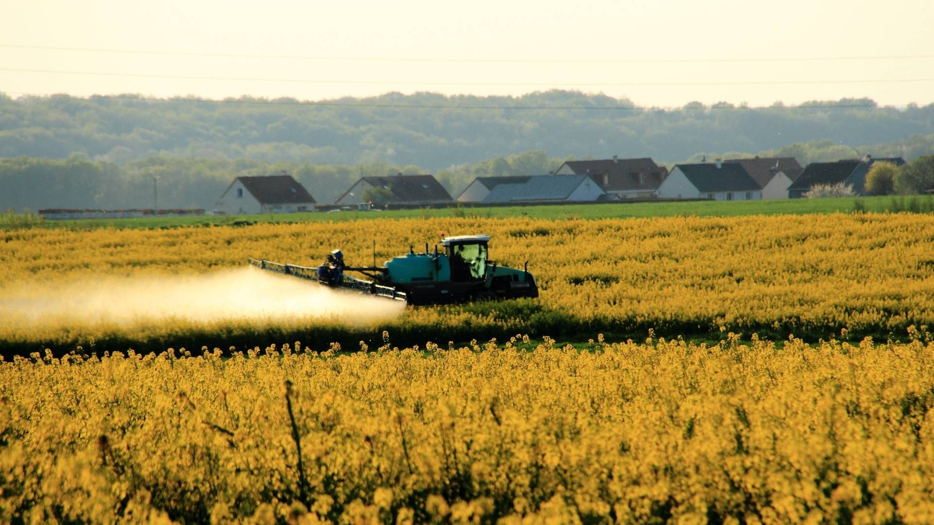 L'association Terres de lien accuse le gouvernement de s'approprier la notion paysanne de souveraineté alimentaire pour justifier une agriculture tournée vers l'exportation.